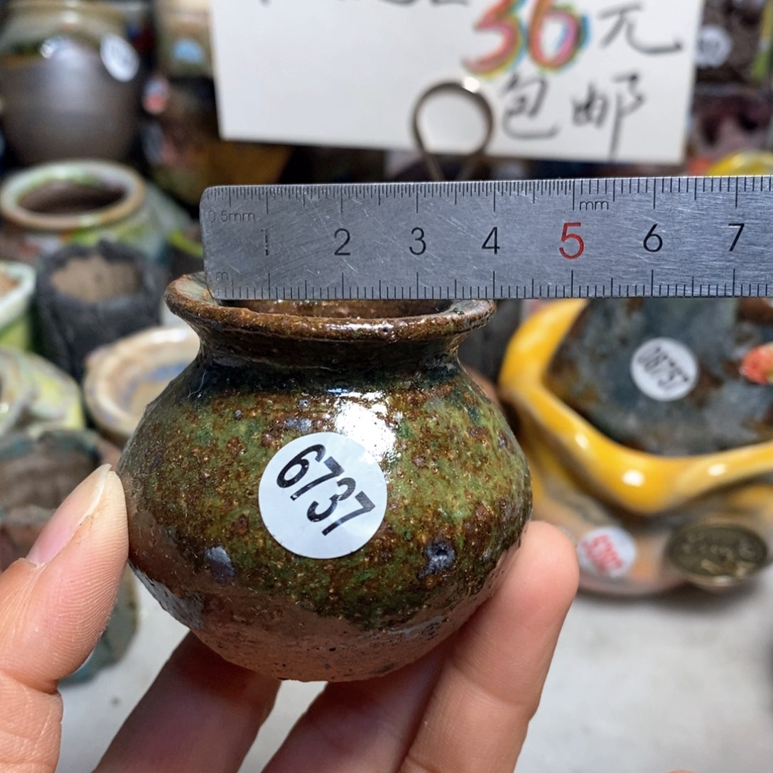 特价花盆不退不换原价15