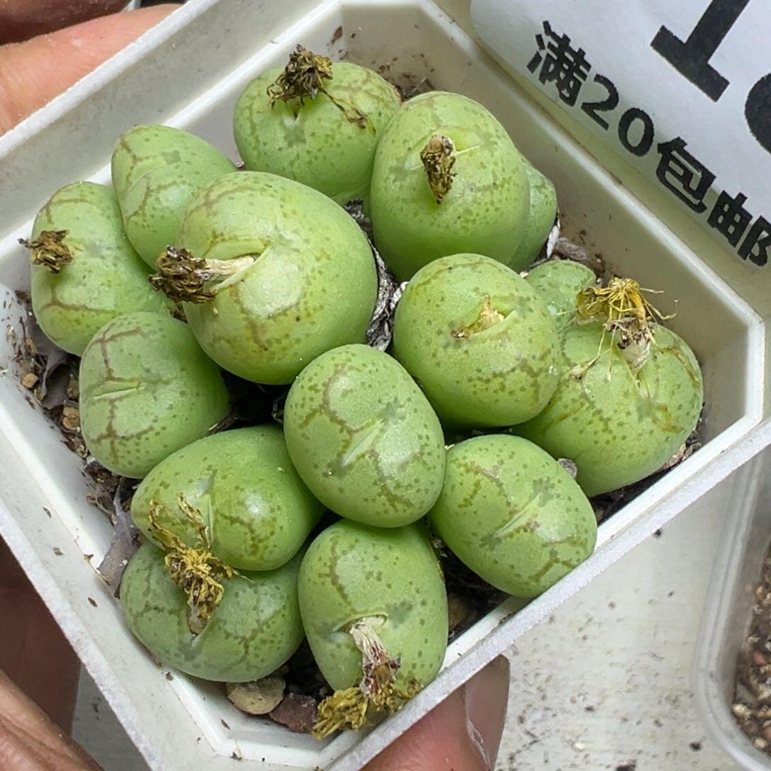 【闪购商品】 718。