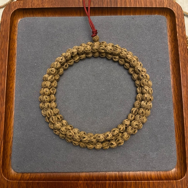 收藏级百香籽原桩尸陀林热振