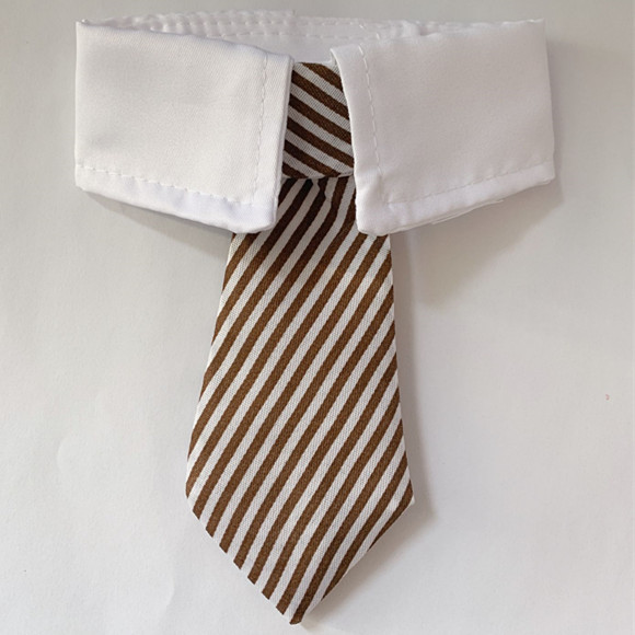 宠物狗狗猫咪领带领结太低装饰项圈结小型犬绅士英伦项圈