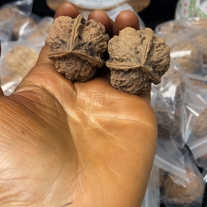 把件文玩核桃云南铁核桃基地28