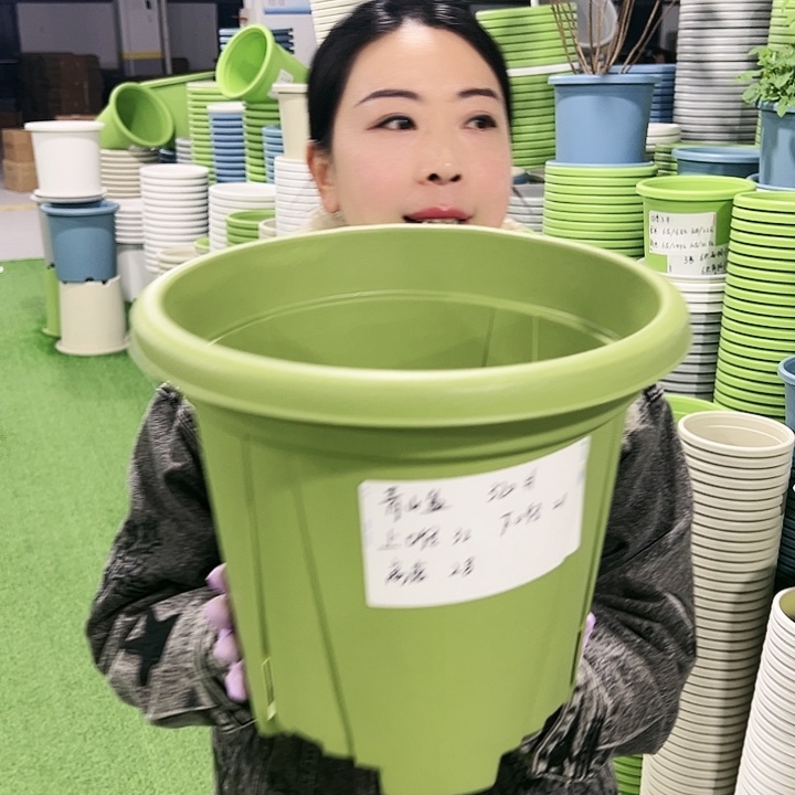 清仓青山口32高28果绿5支无托