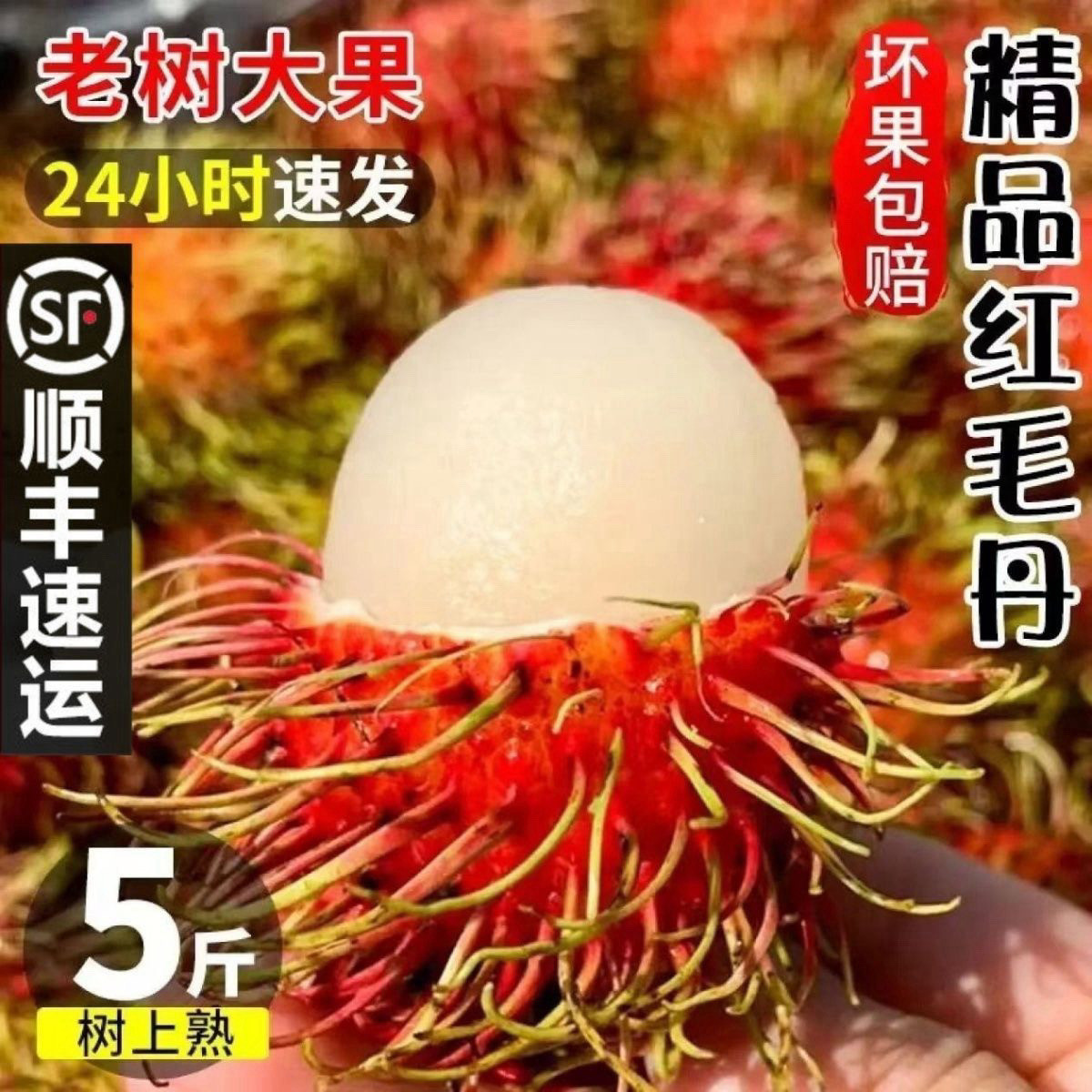 【今日特价】顺丰大果海南红毛丹新鲜毛荔枝孕妇甜水果应季现摘包邮