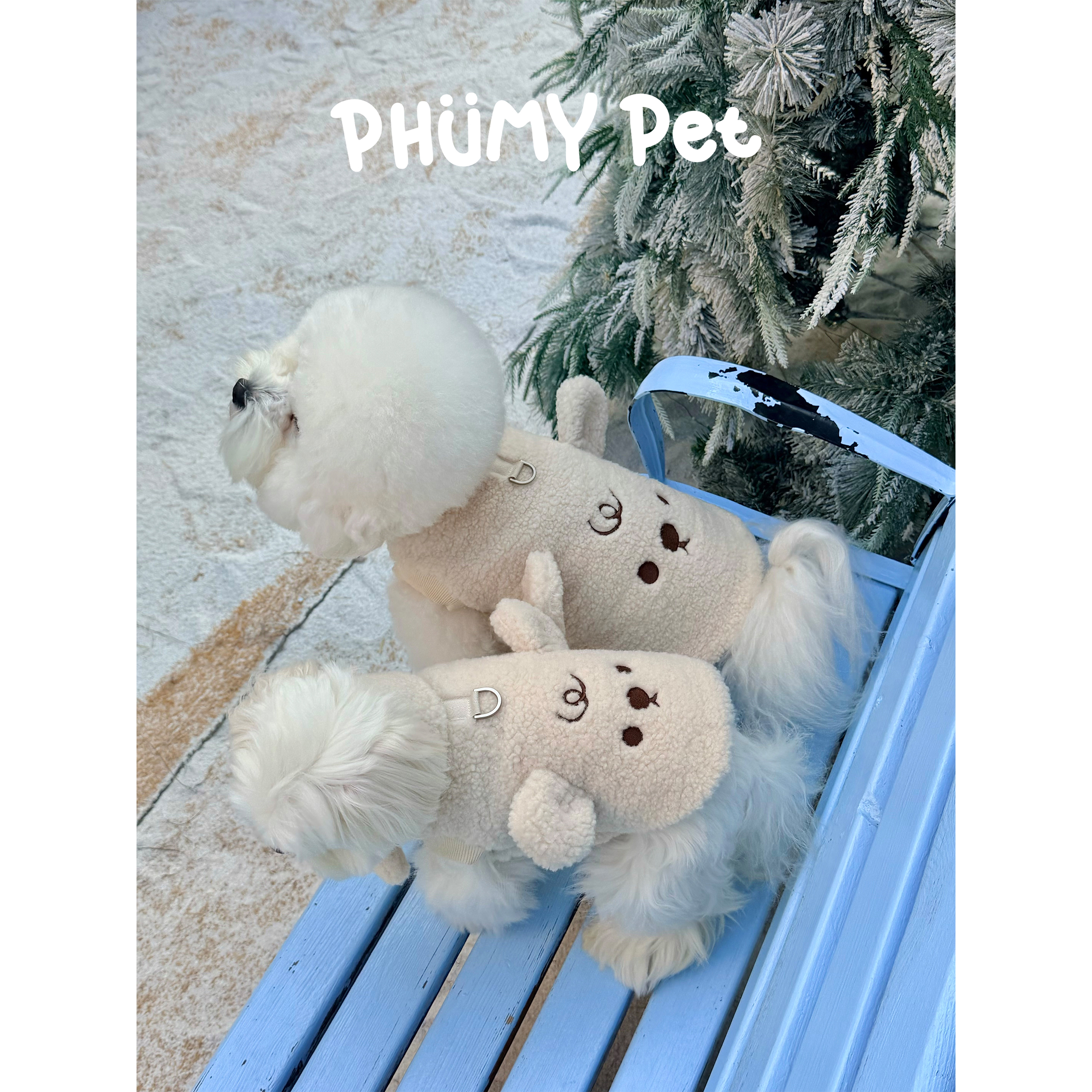 PHUMY PET新品【奶油小熊】棉服套装中小型犬宠物衣服
