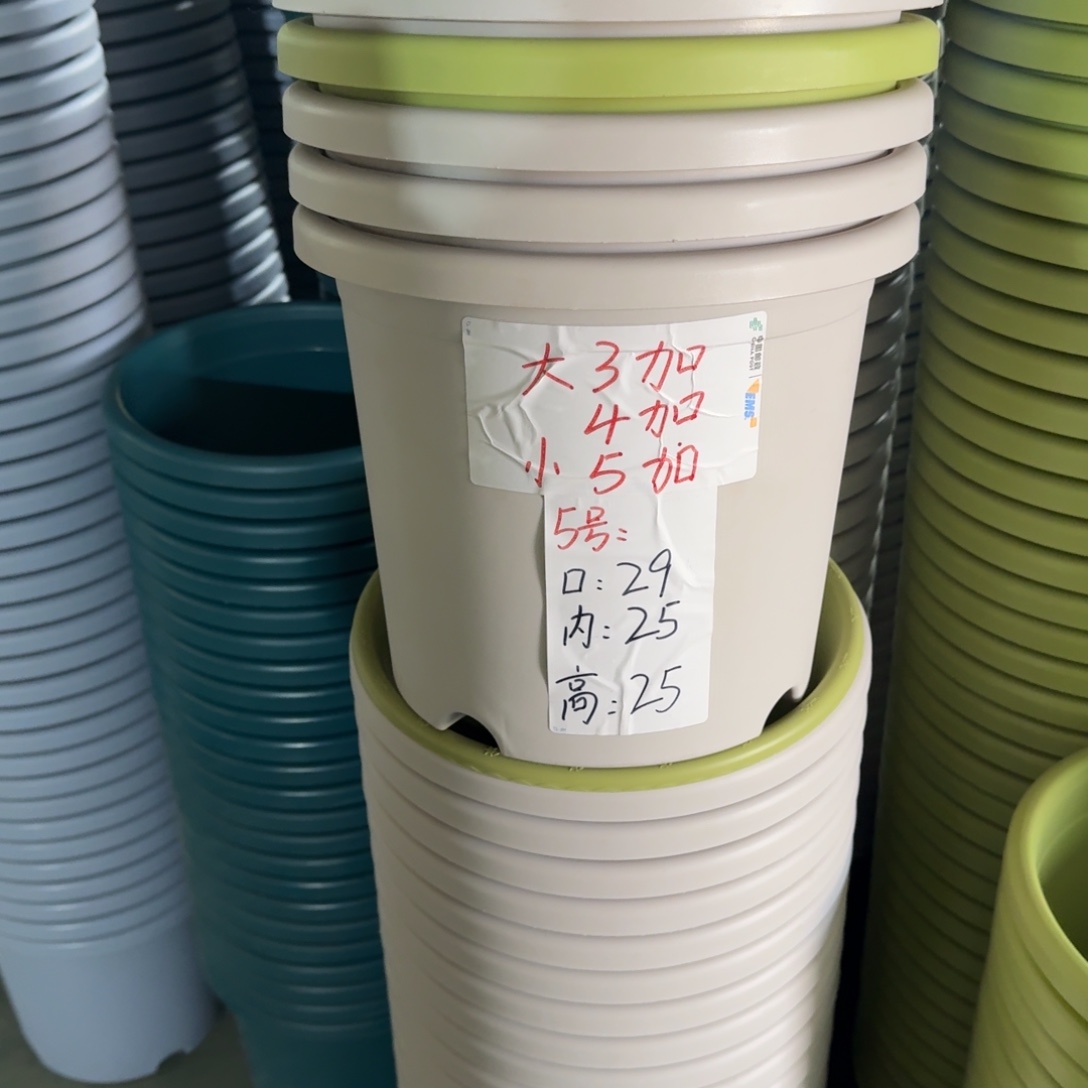 四季5#口径29无拖果绿5个