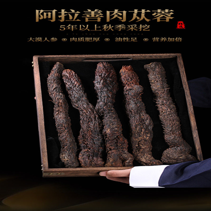 正宗内蒙古阿拉善油肉苁蓉荒漠软质泡水煮水泡酒炖肉煲汤