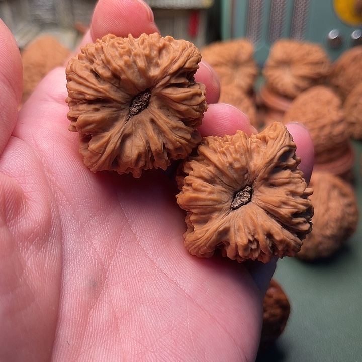 凹底魔眼涿鹿南疆石