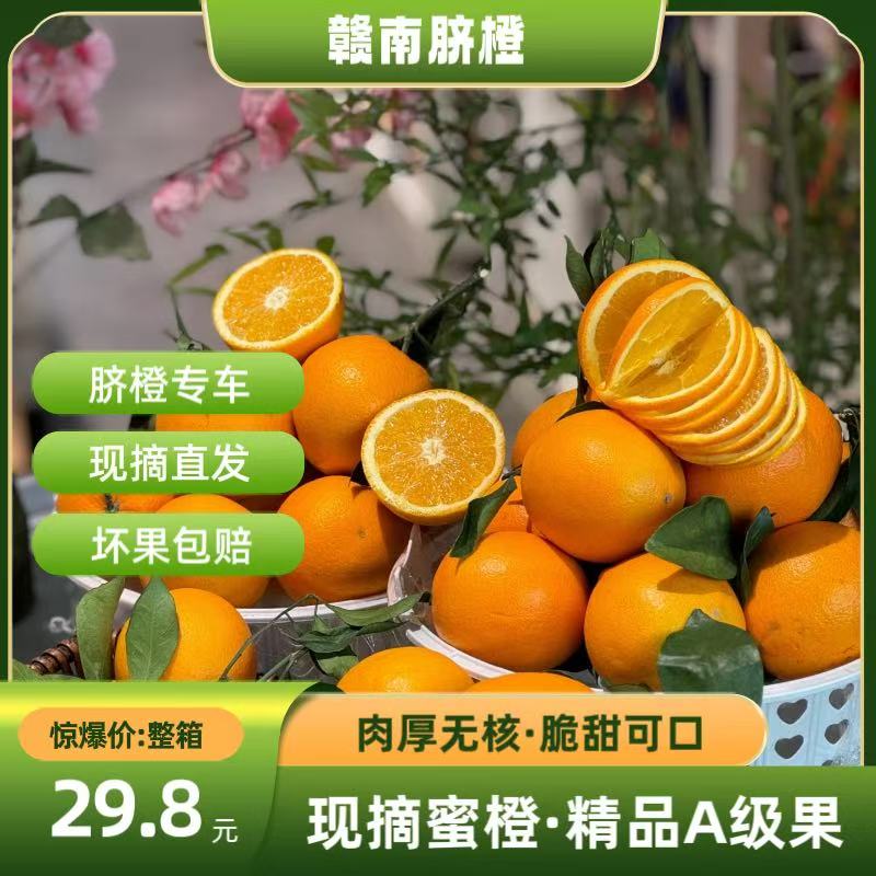 【赣南脐橙】自家果园老树现摘脐橙A级果手剥橙孕妈妈水果橙（桶爷)