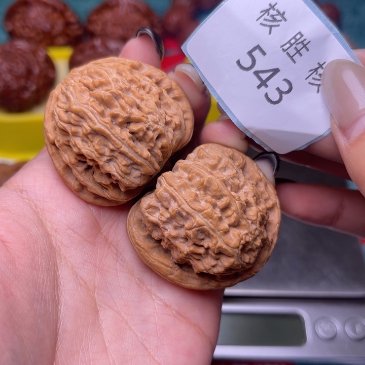 文玩核桃把件白狮子38.543