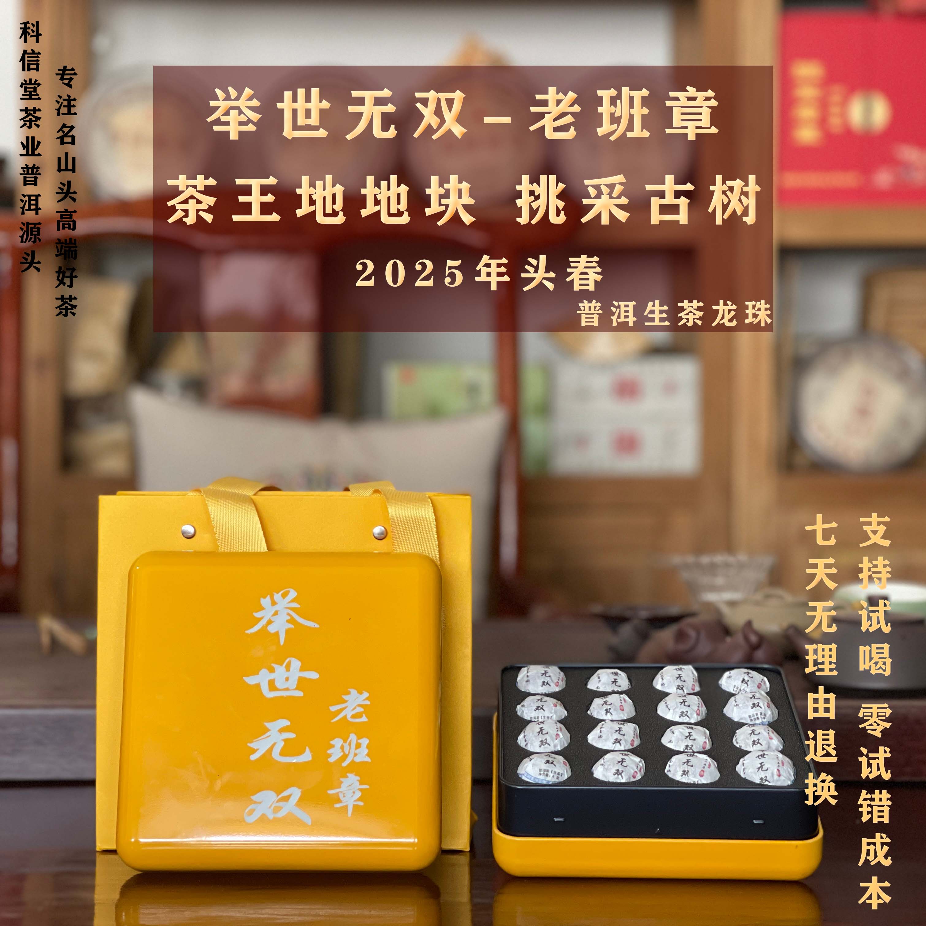  2025年 老班章105号 举世无双 茶王地块挑采古树龙珠