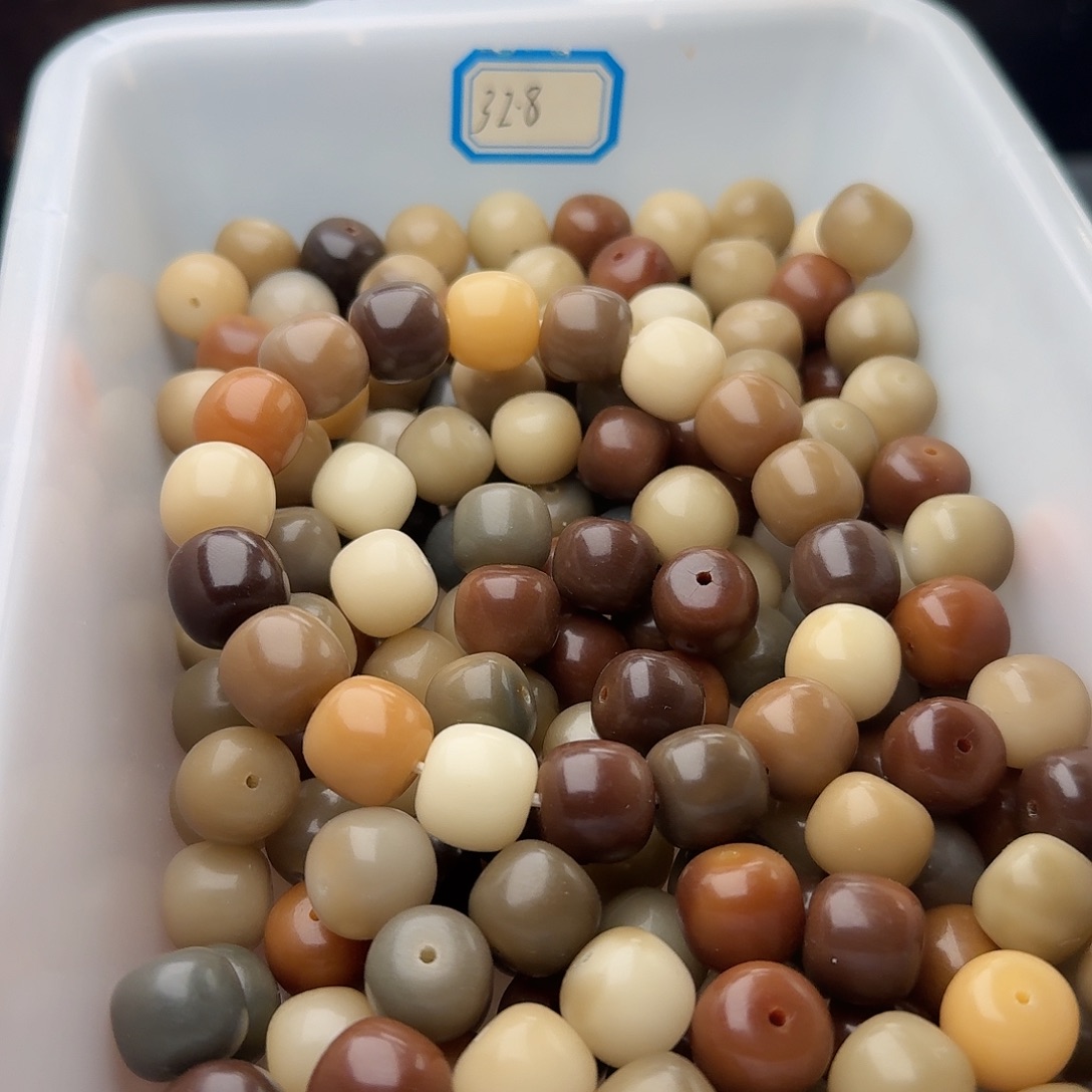 吊坠菩提根/象牙果50 颗霜与秋 14 干磨桶