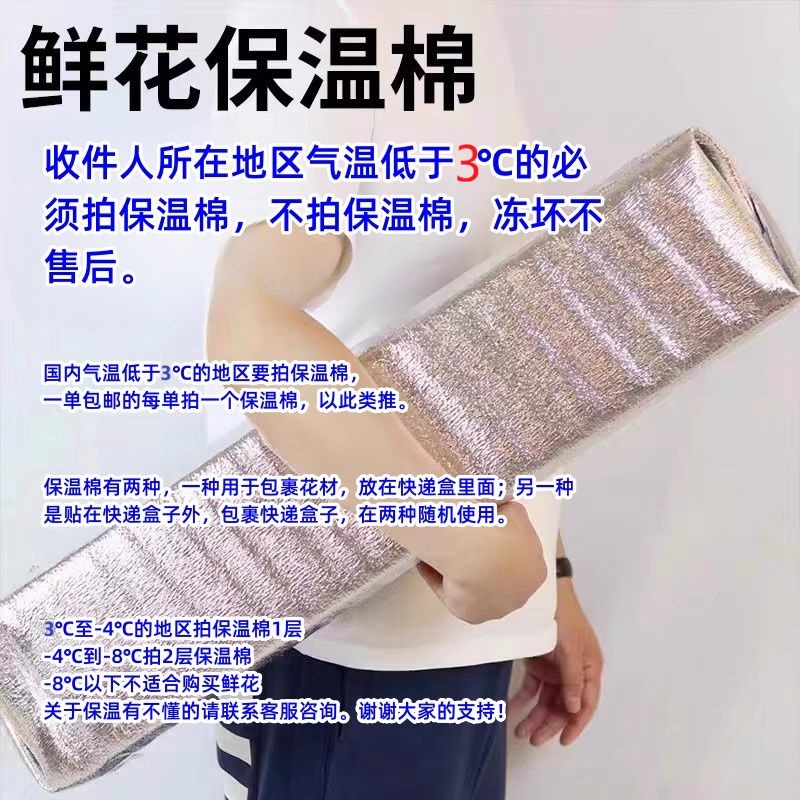 【保温棉随花材顺丰发货】到货3℃以下不拍保温棉冻坏无售后