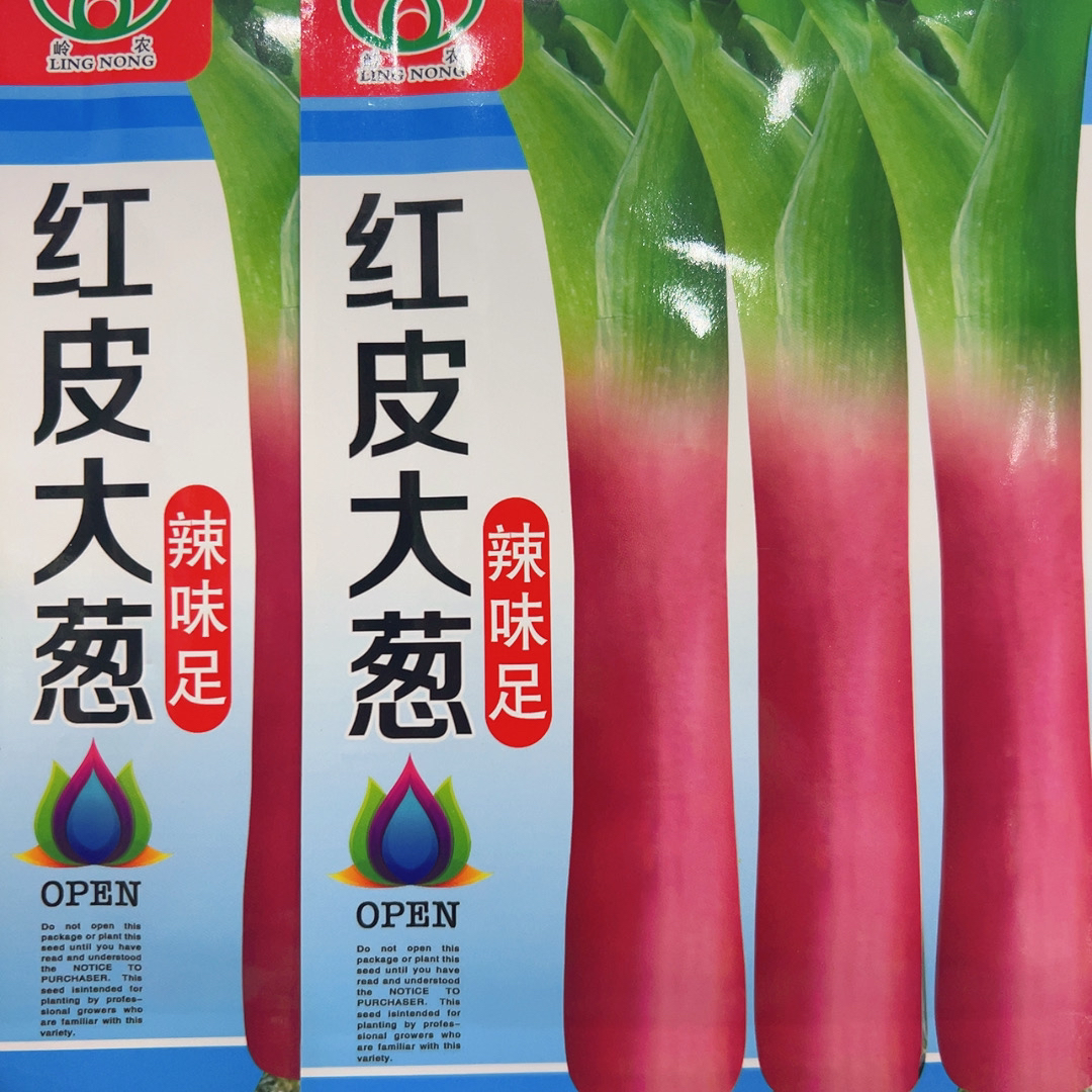 发2袋 红皮大葱种子