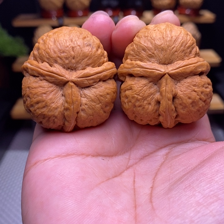 木质类云铁炸三13号42尺