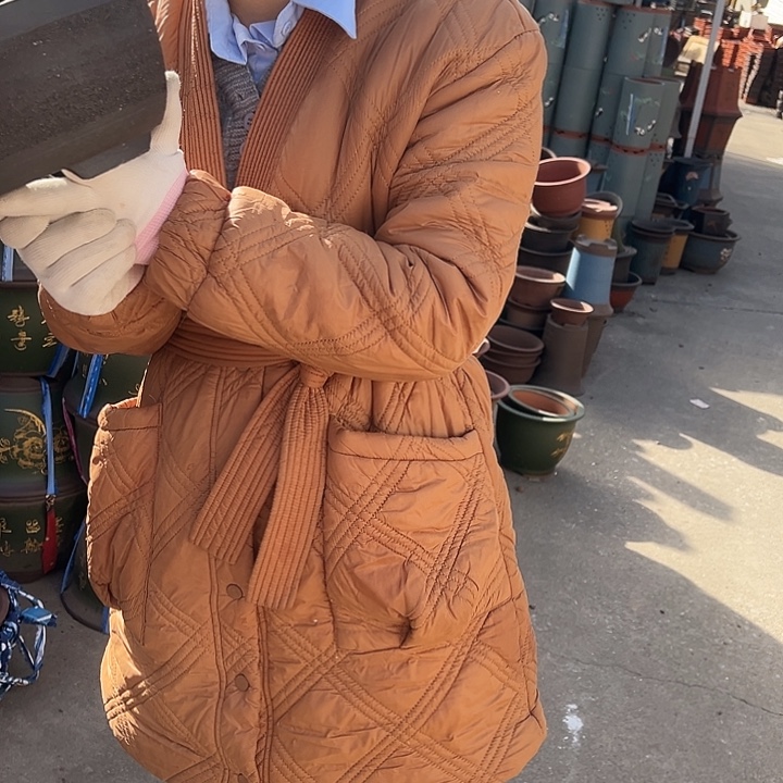 拉毛绿萝小花盆的