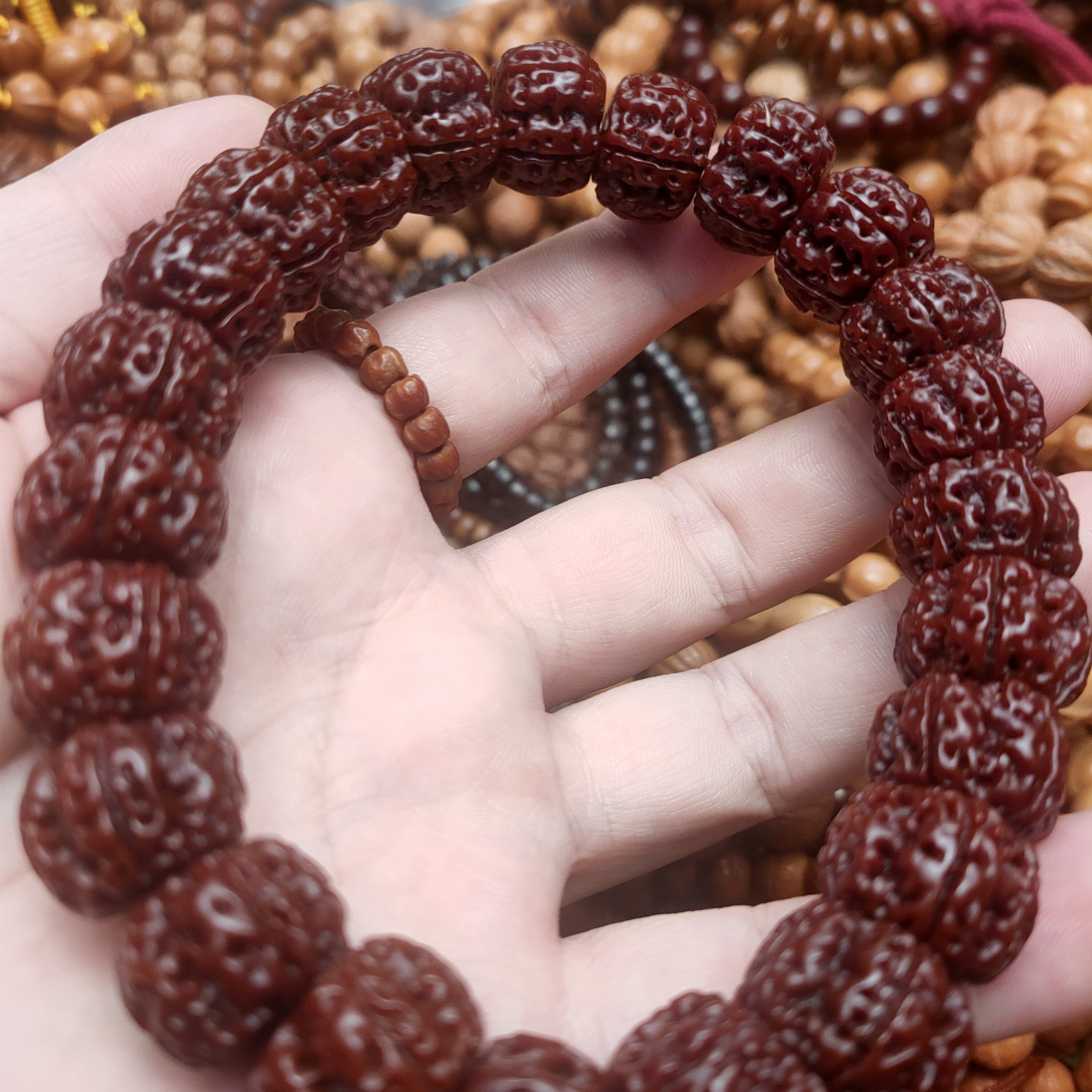 机刷龙切盘龙手持13mm左右金刚菩提小金刚巨肉肥龙