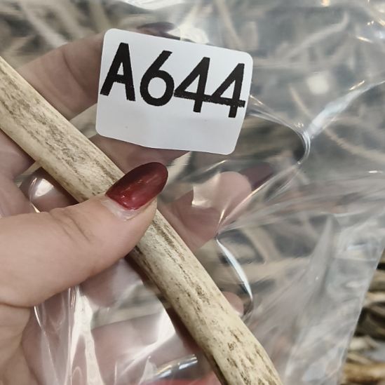 熊***大鹿角鹿角鹿角鹿角鹿角鹿角