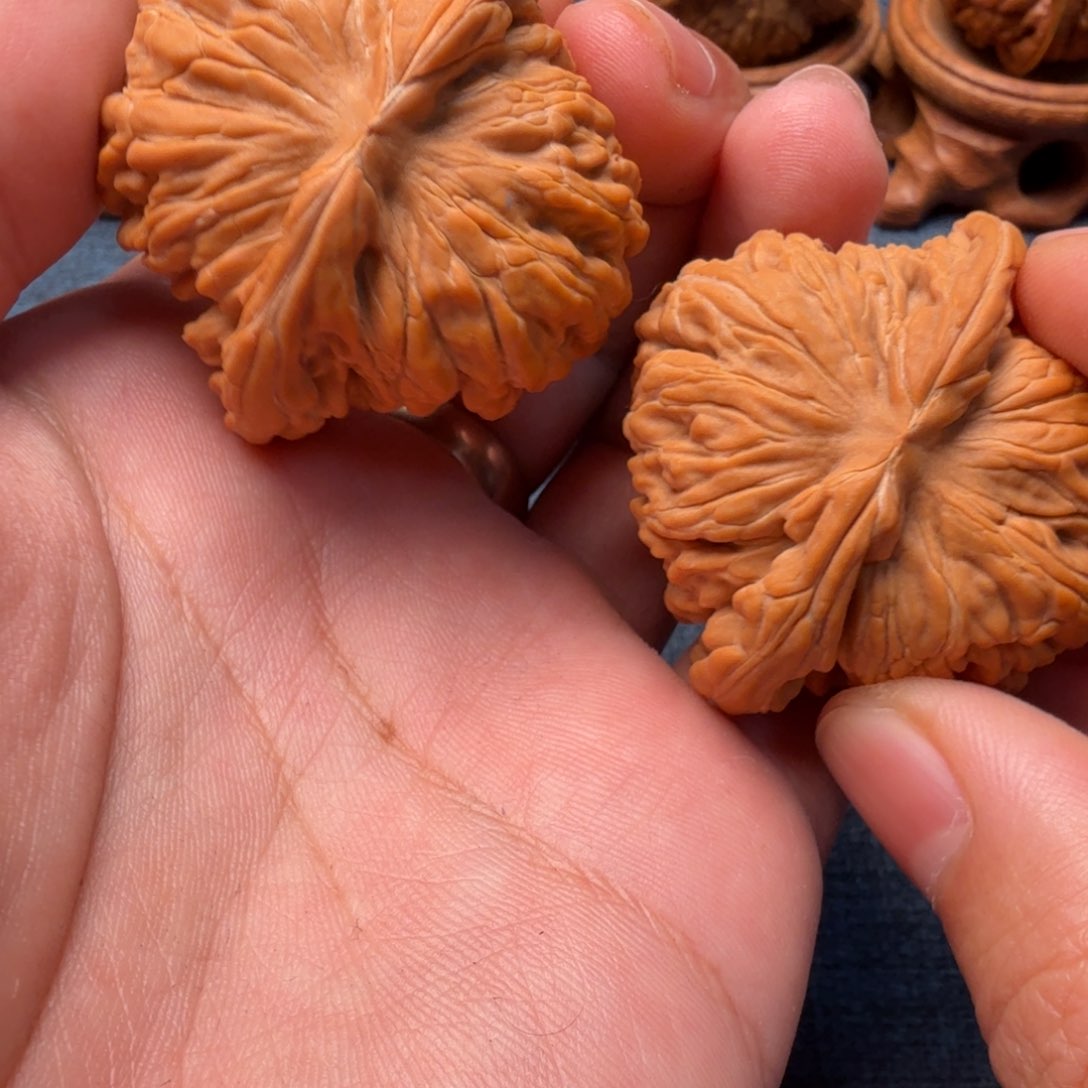 猴头核桃把件后****说汗高楼45尺寸37