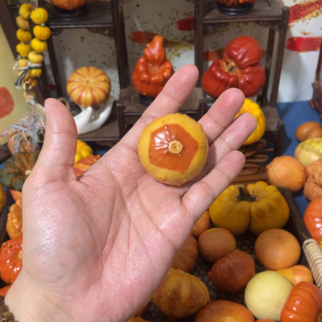 55555555555555555555