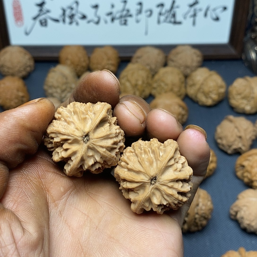 把件文玩核桃龙眼