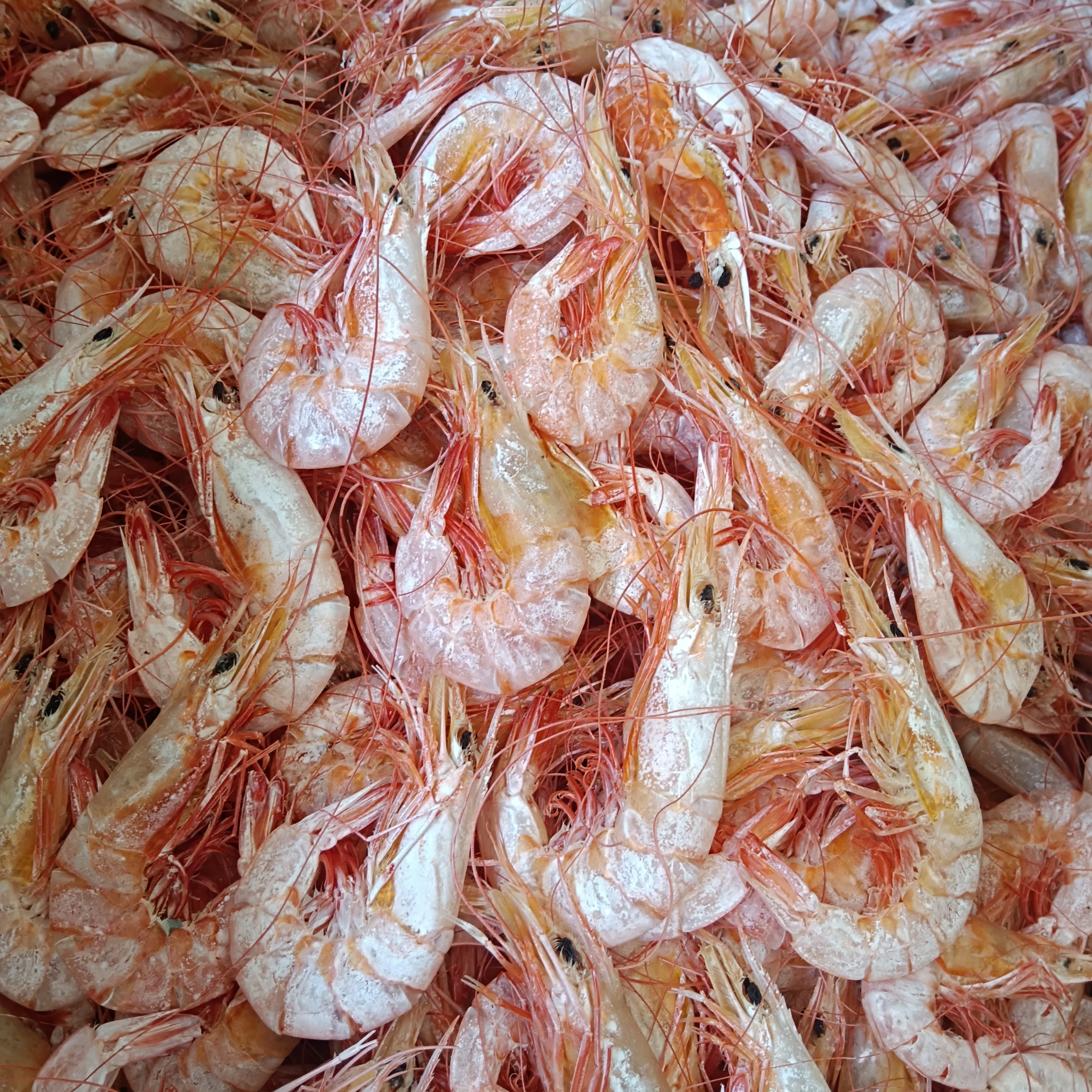 本港野生中大海卢虾干，开袋即食，美味零食虾干