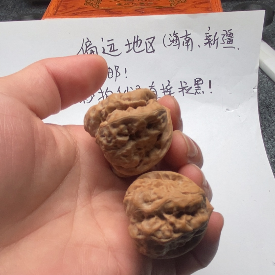 ****火好的我真的是太喜欢这个节目的啦