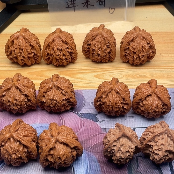 大***嘉哈哈哈哈哈哈哈哈哈