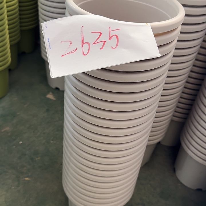 编号2635瑕疵的2号12个一组