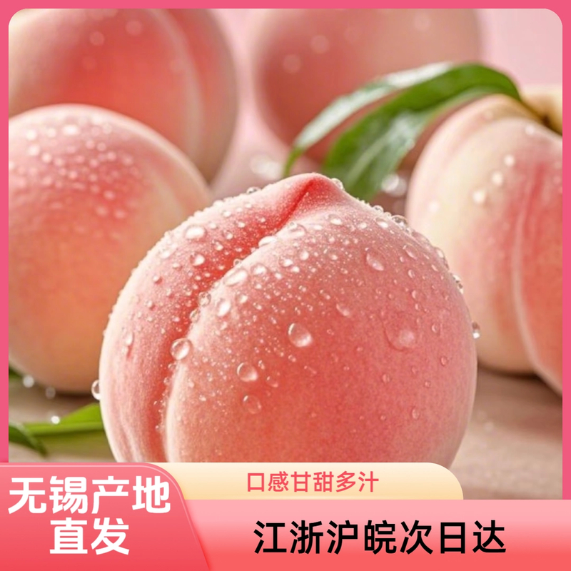 小桃王【湖景桃6-5两】正宗无锡阳山湖景蜜露水蜜桃现摘现发装