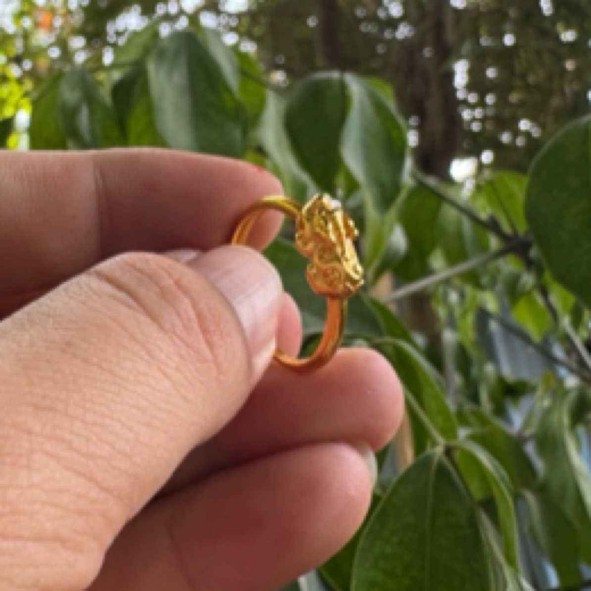 122典藏高端臻美首饰-1.8貔貅戒指