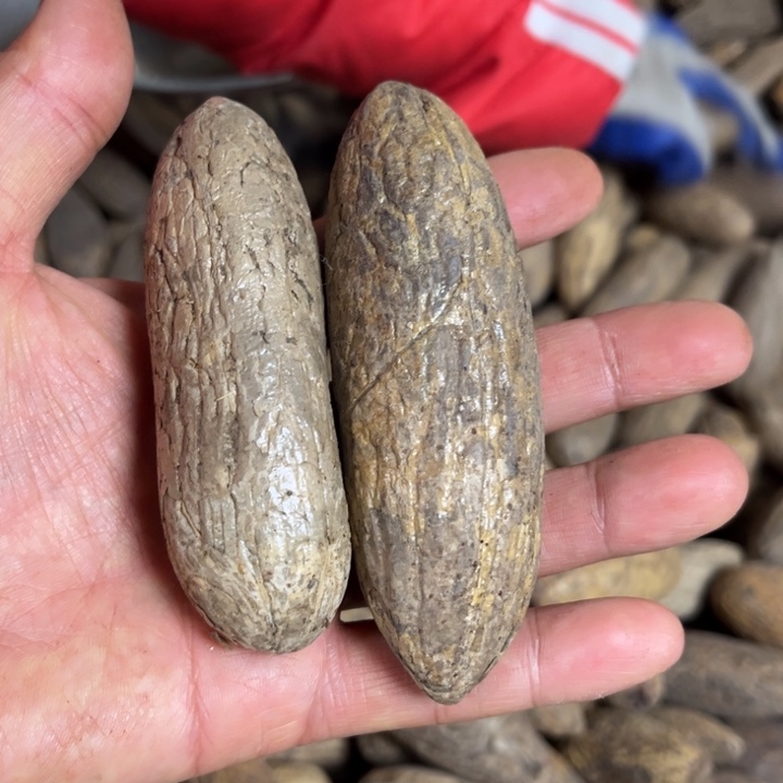 千眼菩提吊坠千眼菩提 64 号。