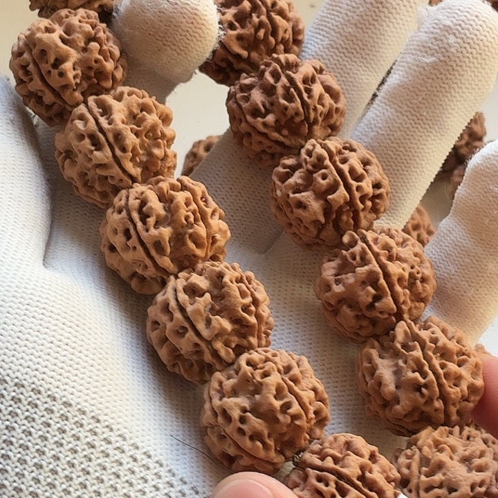 钱***吟金刚菩提手串一号梅花24-小超