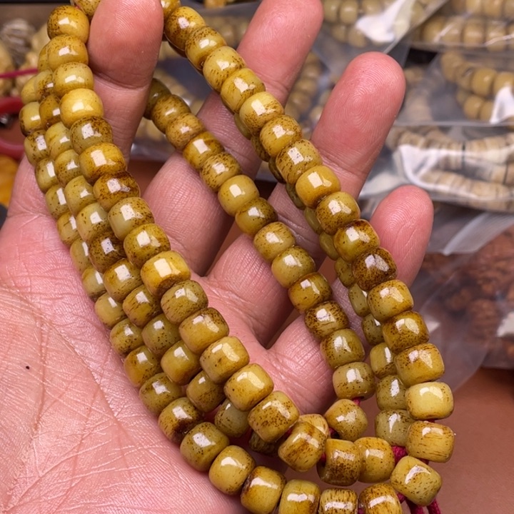 驼骨手串/手链人工养殖