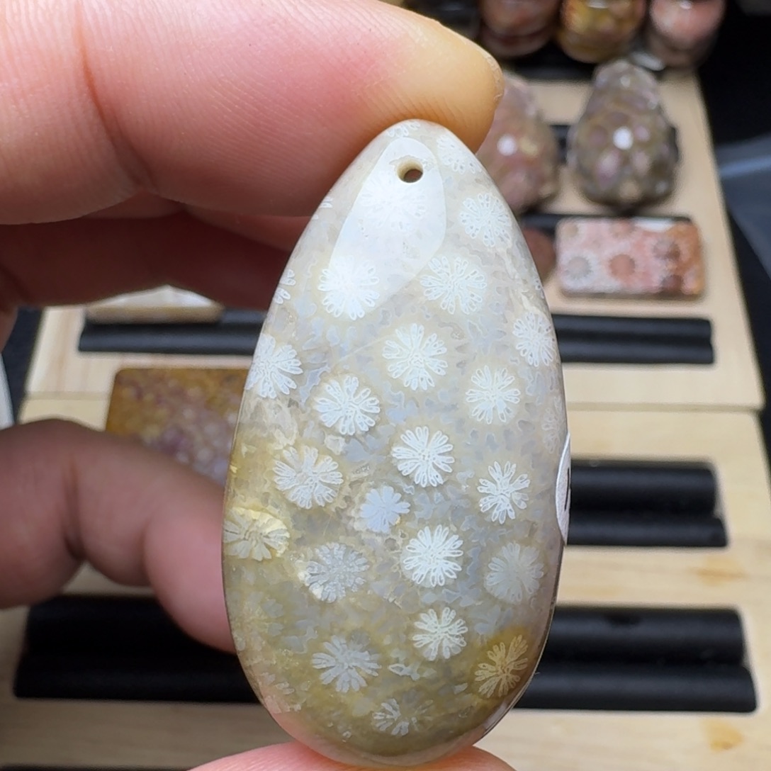硅化珊瑚（珊瑚玉）未镶嵌纯天然色有机玉石保真色