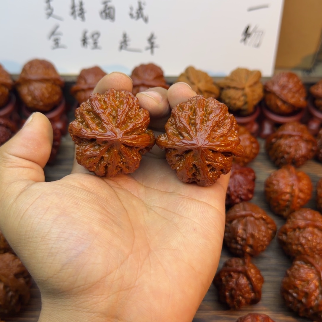 贰***柒菩提籽类粗筋宝贝宝贝