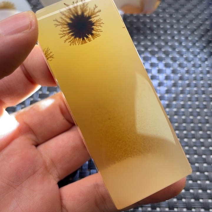 玛瑙/玉髓颈饰未镶嵌补*