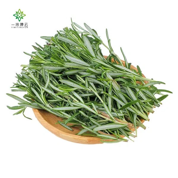 海南迷迭香约50g±5g/份