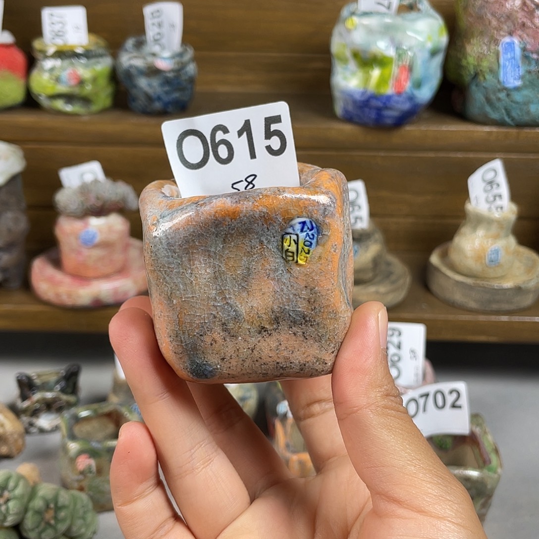 花***。哈哈哈哈哈哈哈哈哈哈 坛子姐 花盆