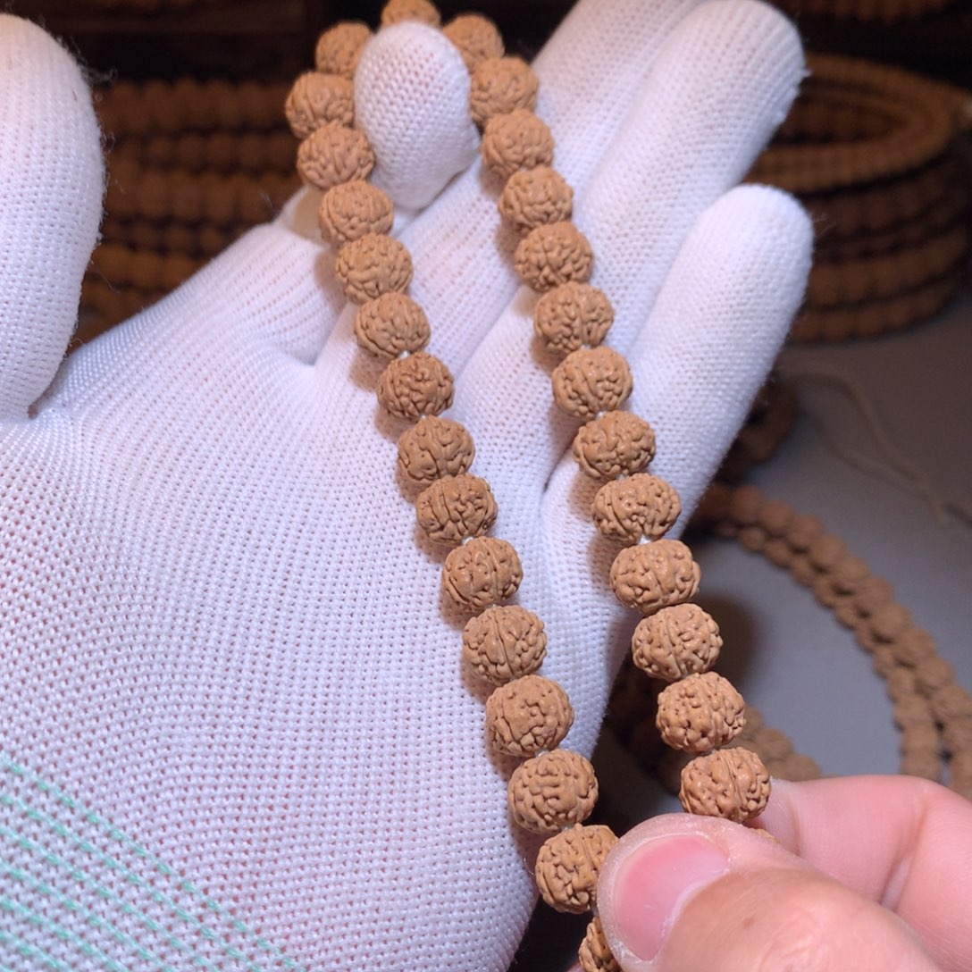 金刚菩提手串树王10+