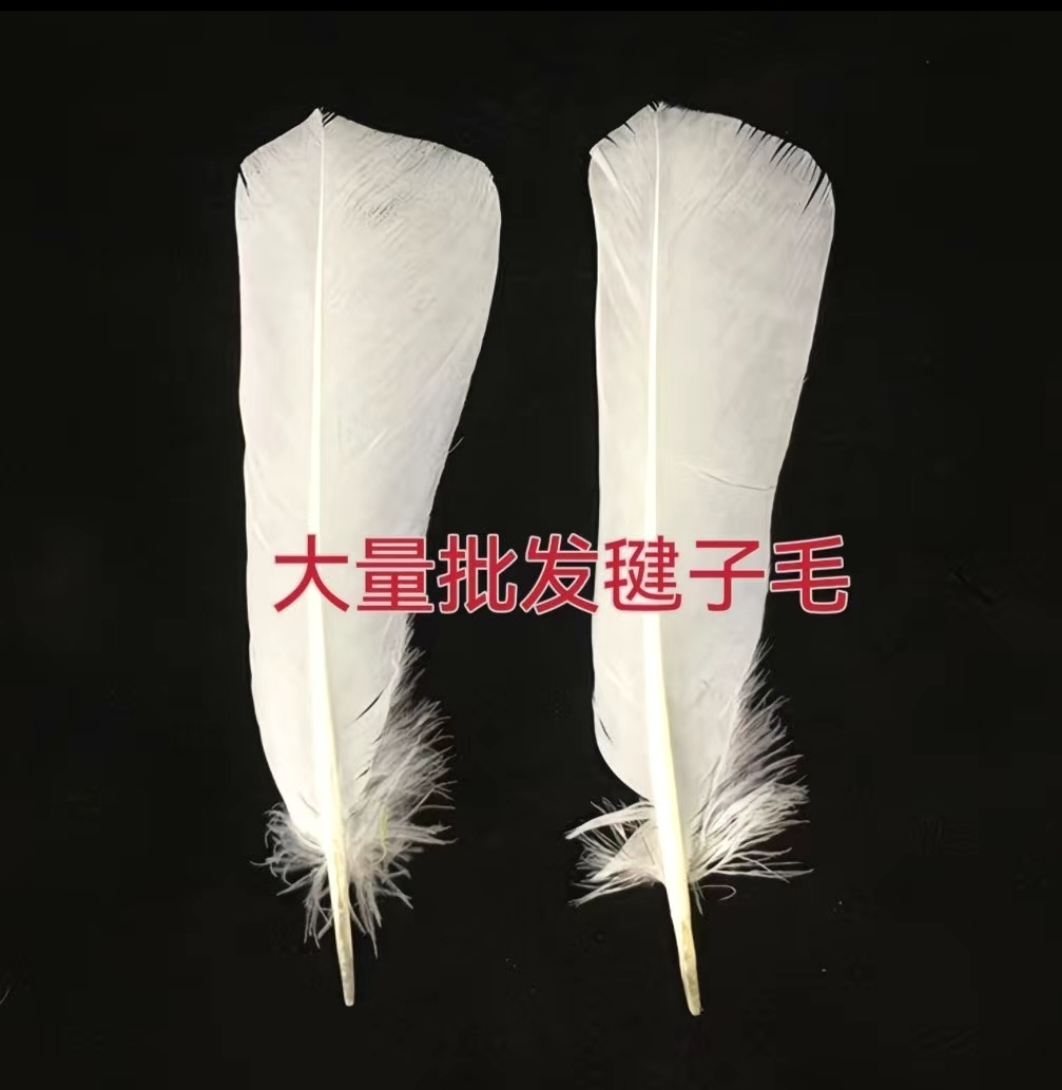 南派花毽专用鸽子尾巴毛彩色染色羽毛适合毽子