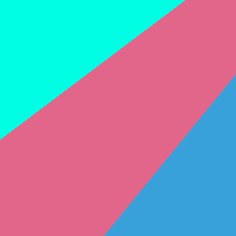 ■■■圣训 精装本 中国社会科学出版社