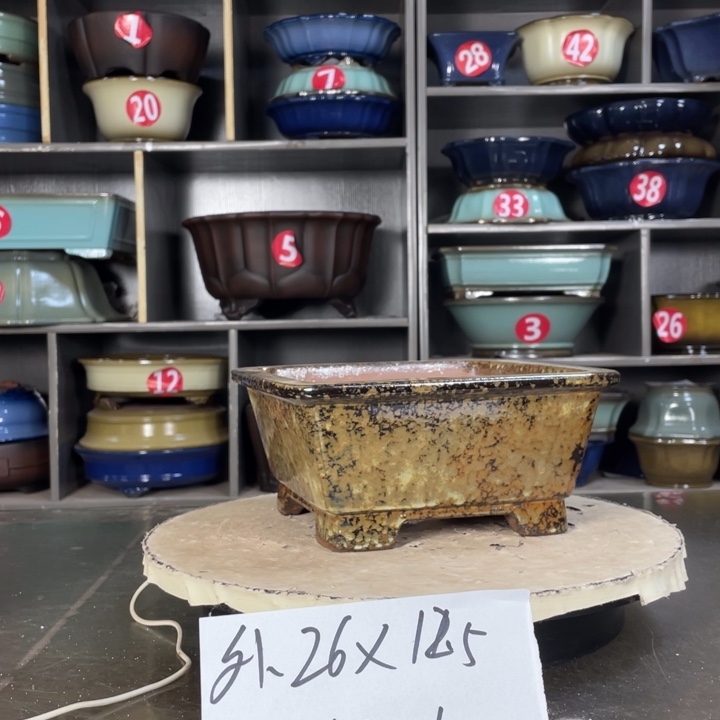 紫砂紫砂11111111111