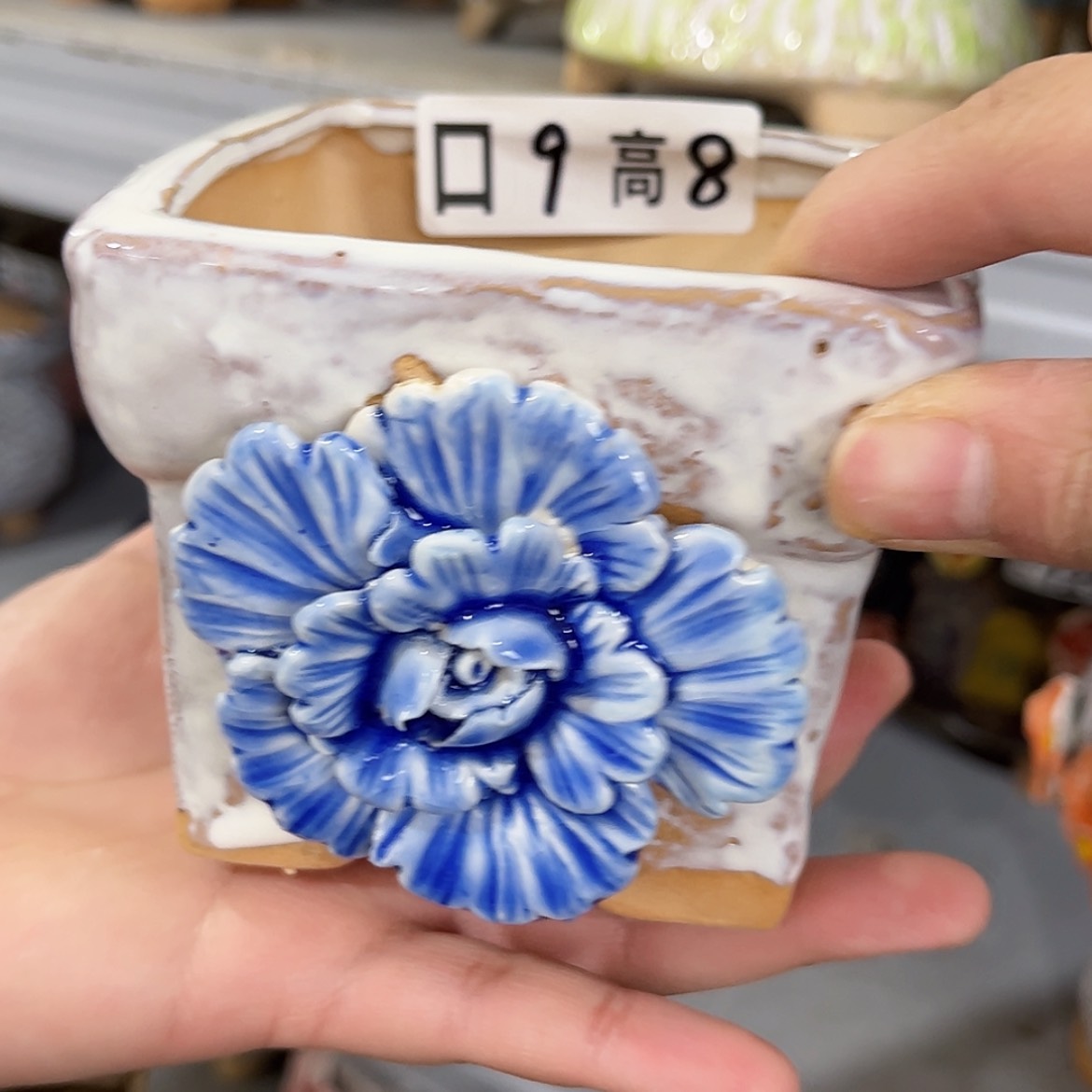 【闪购商品】红陶福利