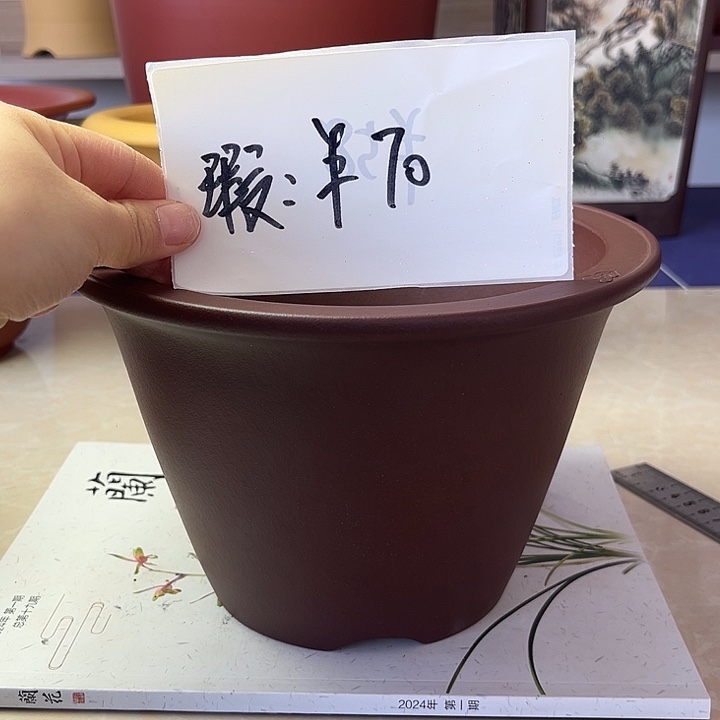 紫砂其他888888888888888888