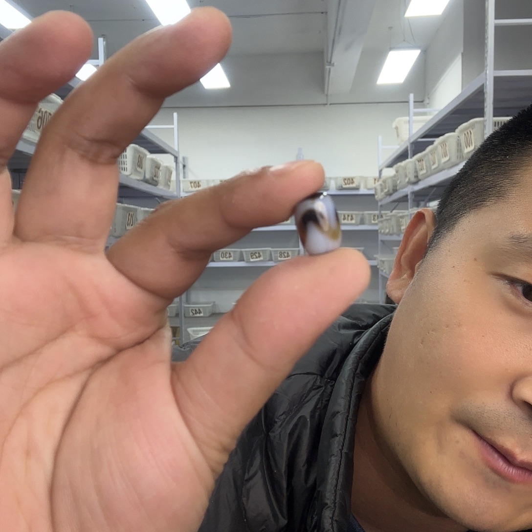 白玉菩提把件达洛虎牙