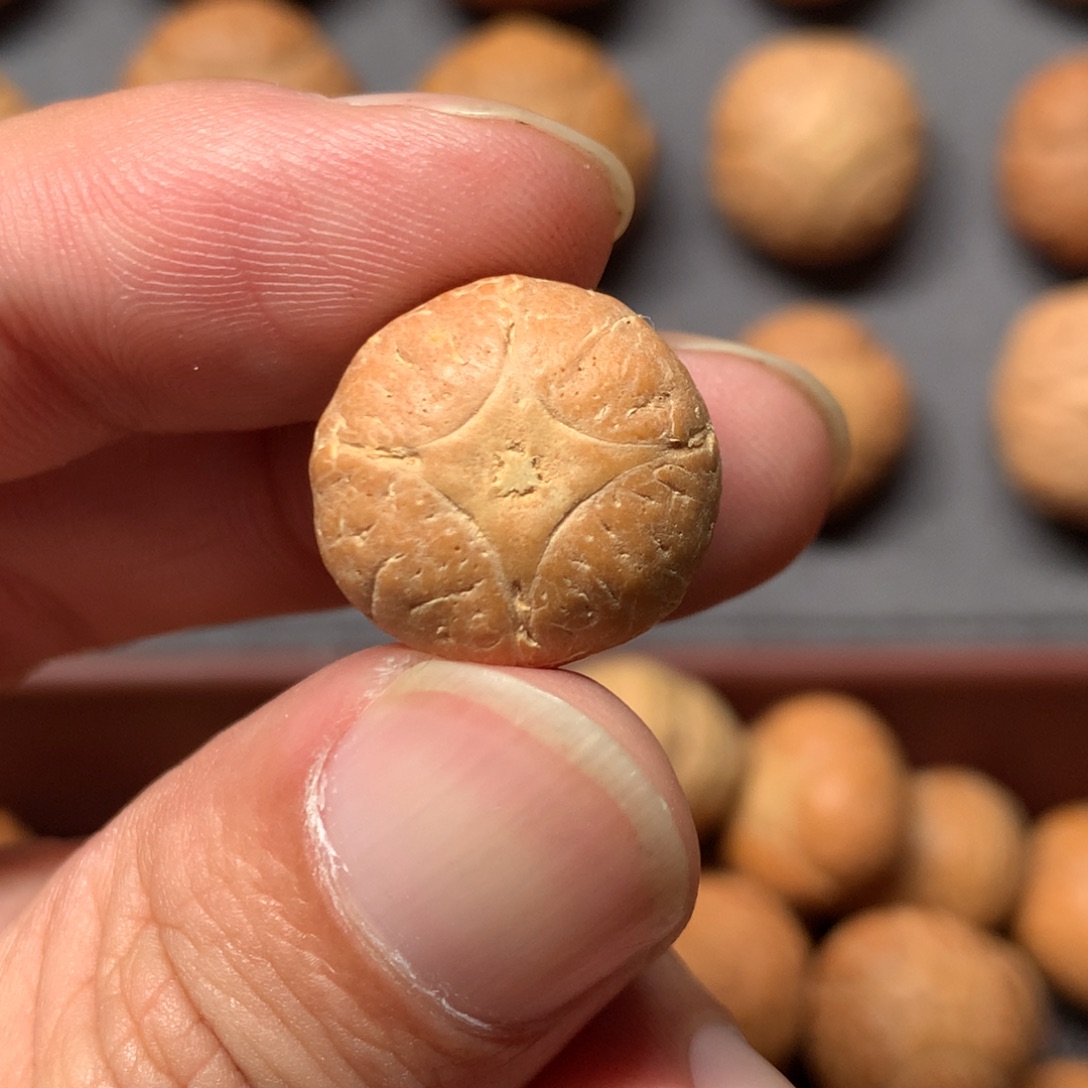 吊坠凤眼菩提17mm尼泊尔麒麟，打孔直播间和我说