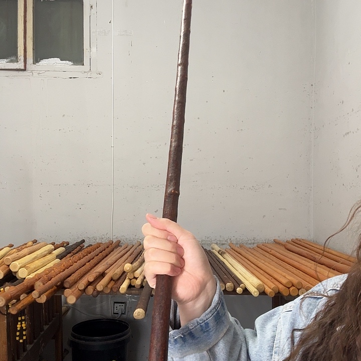 大***和秦岭石山兔儿条鞭杆