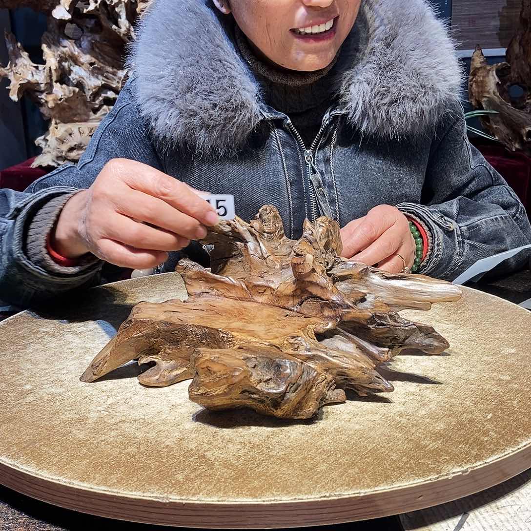 向***福115。株木随行根艺