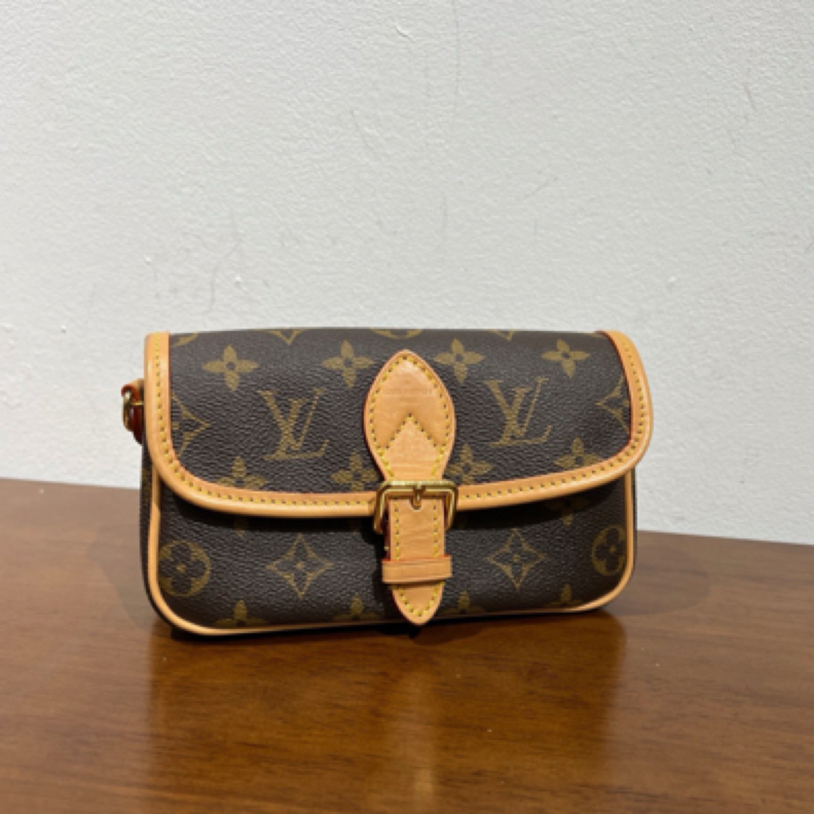 99新 LouisVuitton/路易威登 老花diane法棍 nano 单肩斜挎包