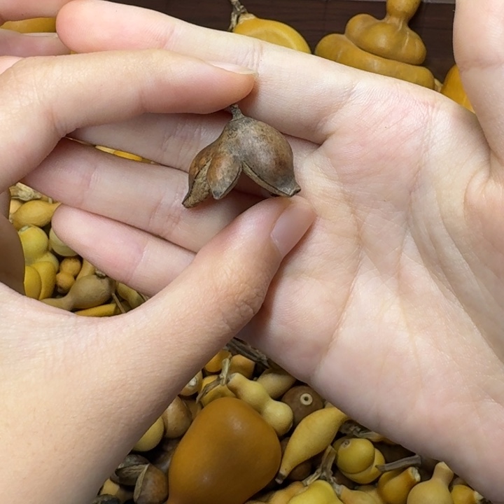 葫芦家里葫芦不包邮